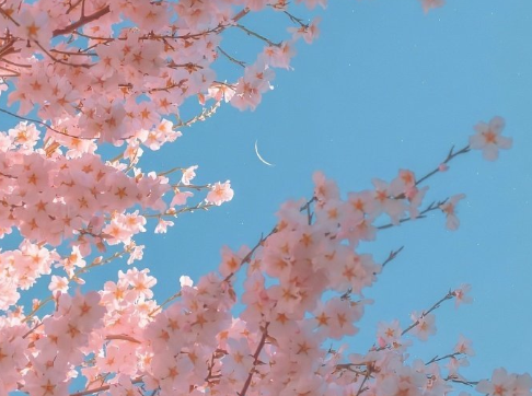 2021很走心的干净短句 朋友圈高质量吸引人的短句1