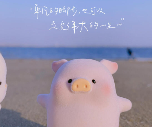 讽刺性极强的扎心文案 很现实的讽刺句子2