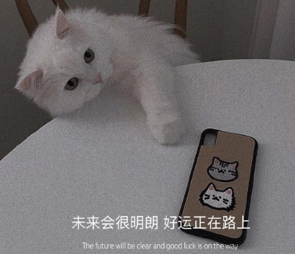 前任教会了你什么经典语录 前任教会你的道理2