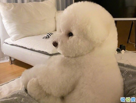 适合挂在微信状态上的简短句子 适合微信状态的简短文案1