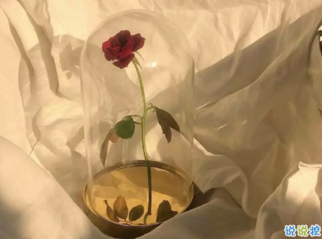 2021励志鸡汤句子 让心灵成长的语录2