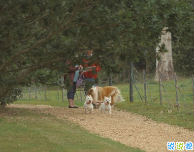 不会烂大街的伤感说说带图片 2021伤感的高质量的文案1