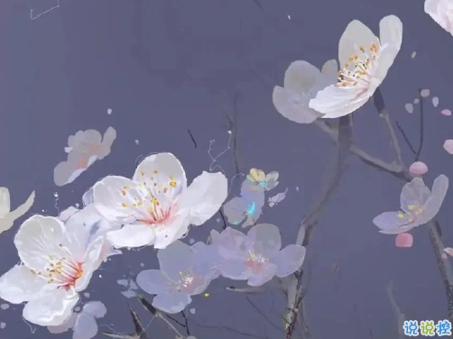 给正在追求女孩子的晚安句子 打动女孩子的超级好听的晚安文案1