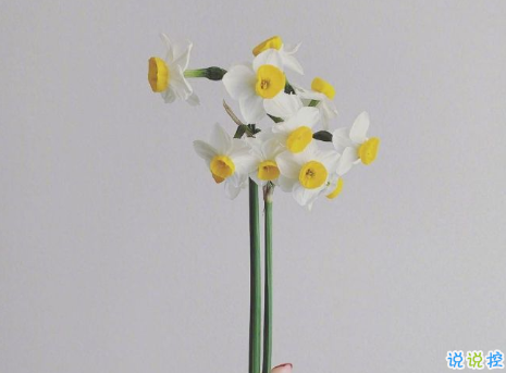 00后文艺又又意境的微信状态文案 适合00后的微信状态句子2