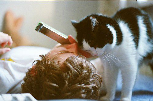 一些国外小说影视电影中的经典英文句子精选2