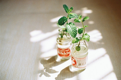 盘点周杰伦那些唱到我们内心深处的歌词带图片9