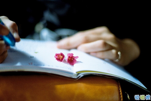 有种淡淡心酸的个性说说带图片 文字控喜欢的文艺个性说说配图3