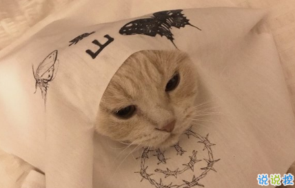 2018朋友圈说说搞笑配图 朋友圈必评论的搞笑说说13