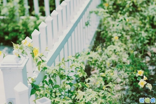 适合孤独时候发的治愈心情说说带图片 孤独没有形状却是无数个你白日的模样13