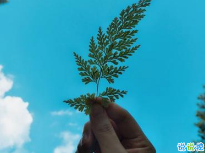 心已经凉透了的说说带图片 不吵不闹很悲伤的说说2