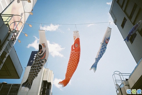 15条值得学习的励志说说带图片 阳光简短的励志说说配图3