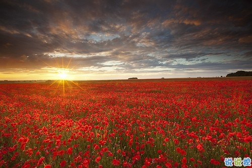 2019女生节微信说说大全带图片 三七女生节朋友圈祝福语说说8