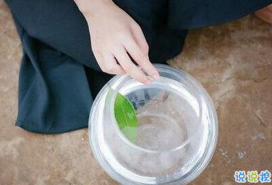 承蒙你出现,够我喜欢好多年1