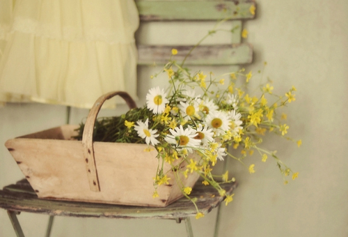 关于青春和成长的适合文艺女生发说说的句子带图片11