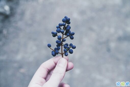 温暖治愈系情感说说带图片 愿你迷路到我身旁15