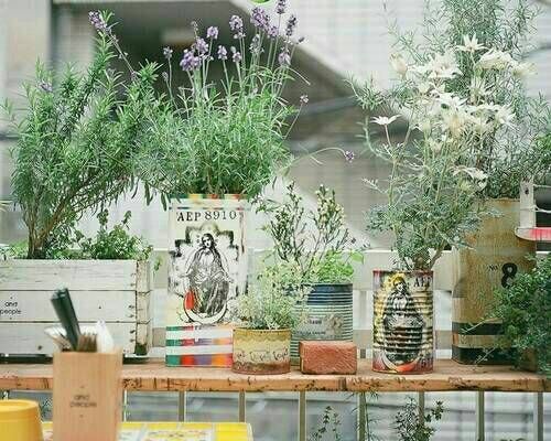 优美有诗意的唯美文艺英文说说带图片13