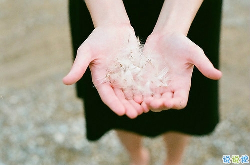 那些抖音中唯美的小清新图片句子 浮世万千吾爱有三8