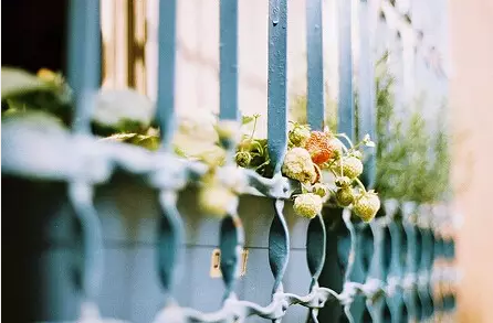 2018最新写给傻傻的自己配图 傻傻的话写给自己一段话图片9