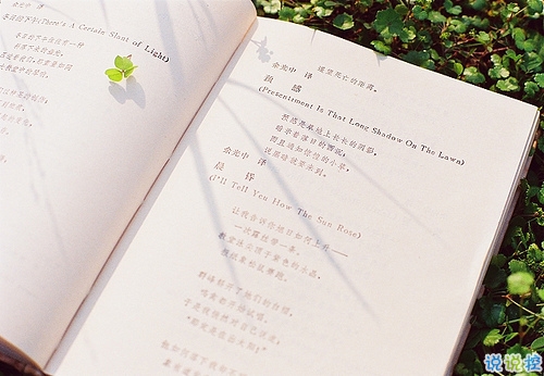 最新适合毕业季发的说说带图片 时光不老我们不散7