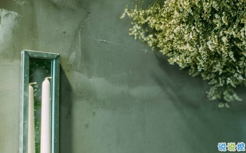 爱情中关于等待的句子和图片 白茶清欢无别事我在等风也等你5