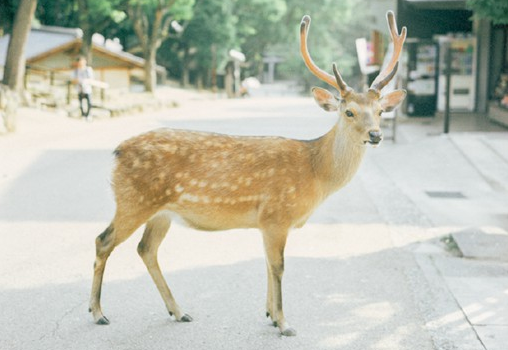 关于生活的哲理有道理说说带图片 生活总是这样不能叫人处处都满意但我们还要热情地活下去4