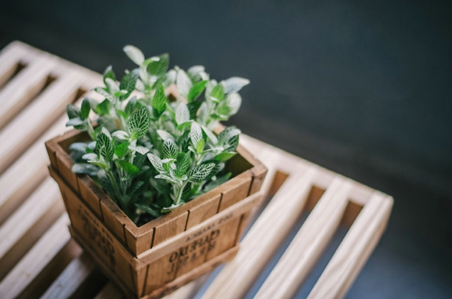 甜蜜浪漫情话只想说给你听的说说带图片 想化作一阵风轻柔的抚过你10