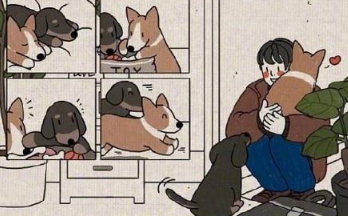 关于一辈子的爱情甜蜜说说配图 我会让我的爱陪你慢慢的老去6