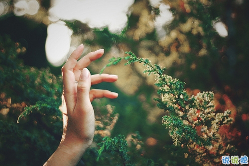 关于爱情简单精辟的一句话说说带图片 我和世界只差一个你2