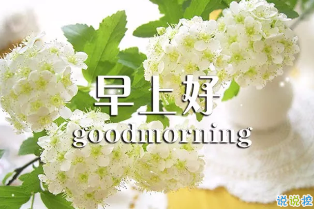 2018早上好正能量的句子和图片 早上好励志的句子配图激励人心的8