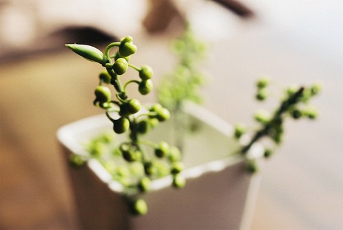 适合孤独时候发的治愈心情说说带图片 孤独没有形状却是无数个你白日的模样11