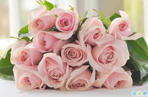 2019春分朋友圈早安祝福语带图片 春分唯美说说简单一句话12