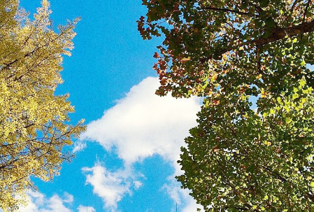 2018人生哲理的句子带图片带字 很精辟的人生哲理句子配图14条9