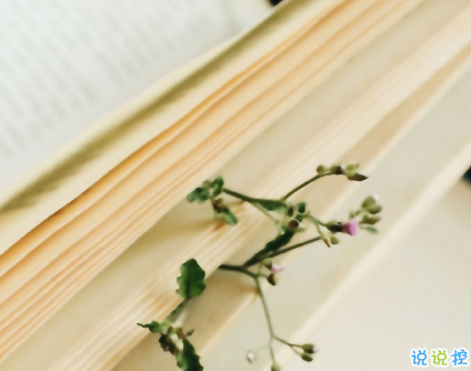 简短的带唯美的说活带图片 简单一句话说说表达心中的情感3