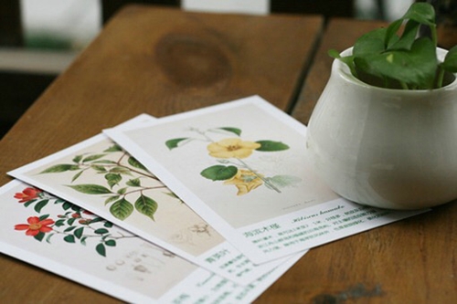 关于爱情的有意思的文艺句子 爱她是我做过的最好的事5