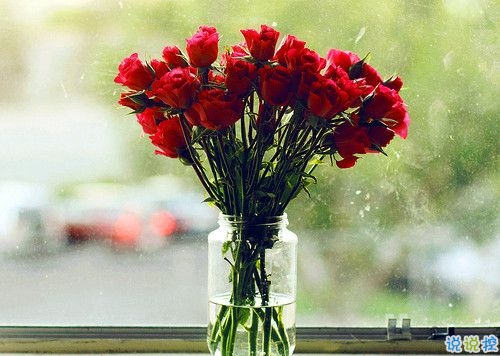 2019关于春分的微信说说带图片 春分节气早安祝福语11