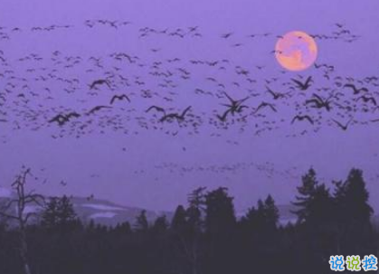 恋爱中很幸福的唯美情话2018精选 很享受爱情的唯美说说5