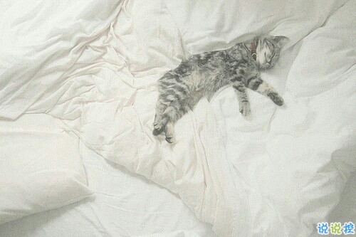 2018朋友圈很火的走心励志说说带图片 很用心的正能量励志说说14