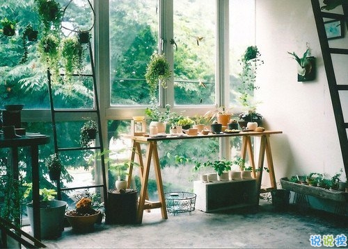 关于青春成长的哲理虽然简单一句话但是很有道理的说说带图片8