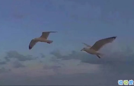 唯美说说配图伤感篇2018：年纪大了只想跟相处不累的人在一起6