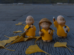 秋天再见冬天你好的经典文案 秋天的不甘该通通放下了