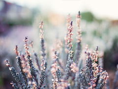 抖音最火爆最肉麻的情话合集 情侣间情话大全听了起鸡皮疙瘩